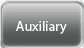 Auxiliary